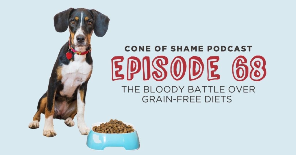 dog eating grain-free kibble at veterinary hospital