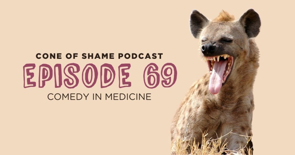 hyena laughing in field